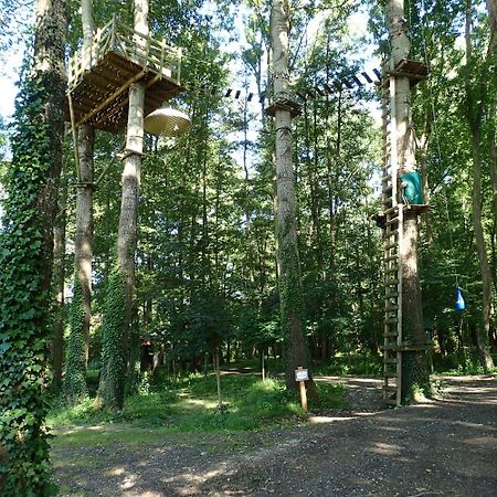 Les Bulles De La Maison Du Rocher Noisy-sur-Ecole Номер фото